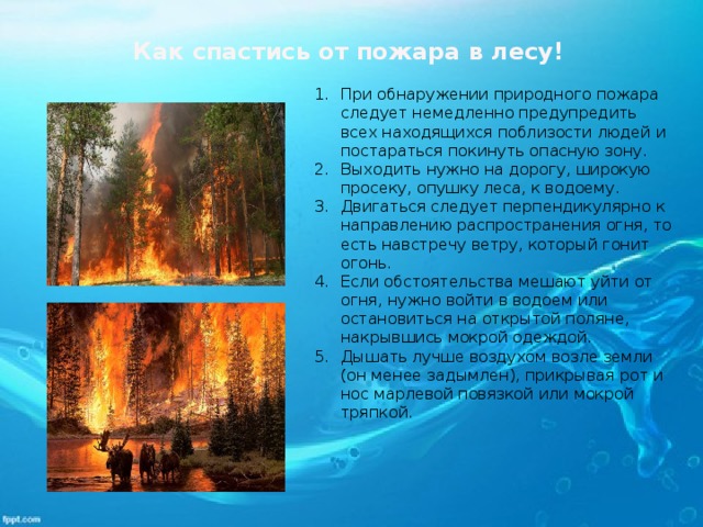 Как спастись от пожара в лесу! При обнаружении природного пожара следует немедленно предупредить всех находящихся поблизости людей и постараться покинуть опасную зону. Выходить нужно на дорогу, широкую просеку, опушку леса, к водоему. Двигаться следует перпендикулярно к направлению распространения огня, то есть навстречу ветру, который гонит огонь. Если обстоятельства мешают уйти от огня, нужно войти в водоем или остановиться на открытой поляне, накрывшись мокрой одеждой. Дышать лучше воздухом возле земли (он менее задымлен), прикрывая рот и нос марлевой повязкой или мокрой тряпкой. 