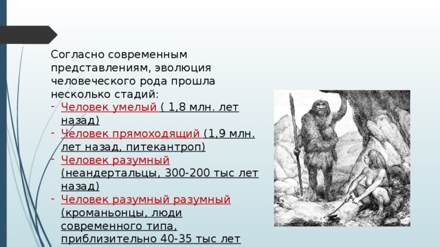 Согласно современным представлениям, эволюция человеческого рода прошла несколько стадий: Человек умелый ( 1,8 млн. лет назад) Человек прямоходящий (1,9 млн. лет назад, питекантроп) Человек разумный (неандертальцы, 300-200 тыс лет назад) Человек разумный разумный (кроманьонцы, люди современного типа, приблизительно 40-35 тыс лет назад) 