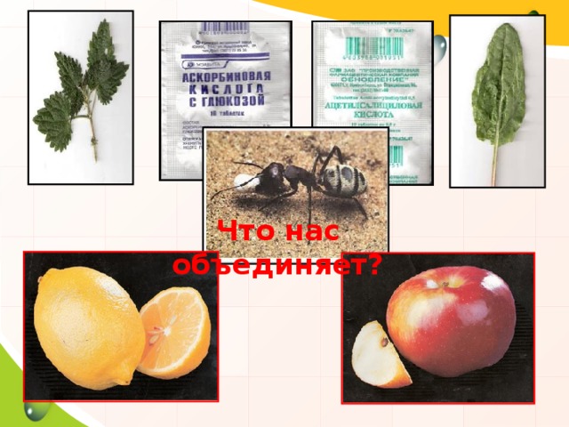Что нас объединяет?  