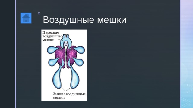 Воздушные мешки 
