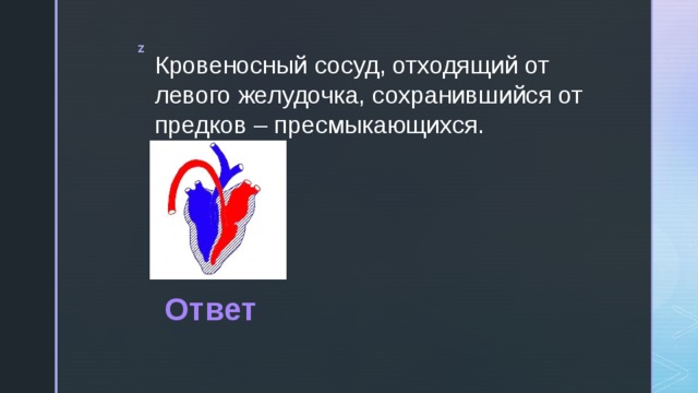 Кровеносный сосуд, отходящий от левого желудочка, сохранившийся от предков – пресмыкающихся. Ответ 