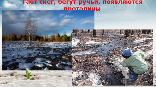 Тает снег, бегут ручьи, появляются проталины 