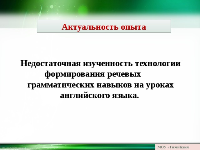 Актуальность опыта Недостаточная изученность технологии формирования речевых грамматических навыков на уроках английского языка. МОУ «Гимназия №23» 