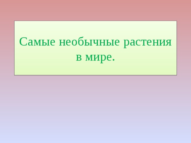 Самые необычные растения в мире. 