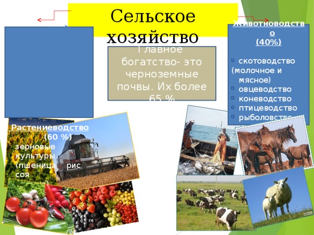 Сельское хозяйство Животноводство (40%)  скотоводство (молочное и мясное) овцеводство коневодство птицеводство рыболовство  Растениеводство  (60 %) зерновые культуры (пшеница рис соя  гречка) подсолнечник овощеводство садоводство виноградарство Главное богатство- это черноземные почвы. Их более 65 %  