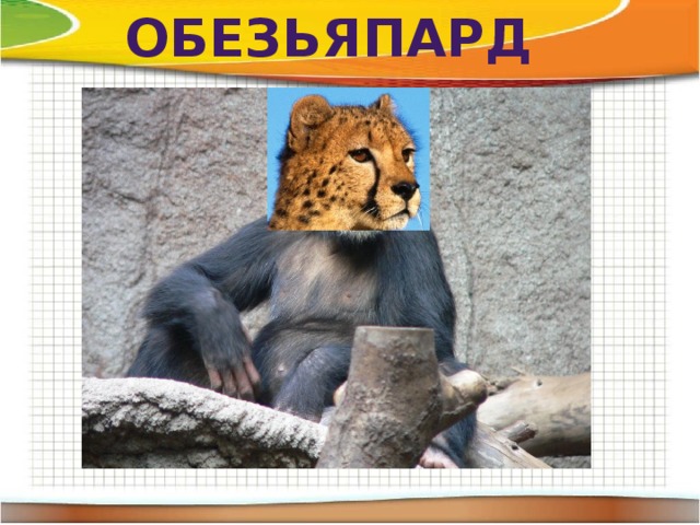 обезьяпард