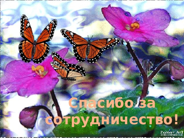 Спасибо за сотрудничество!