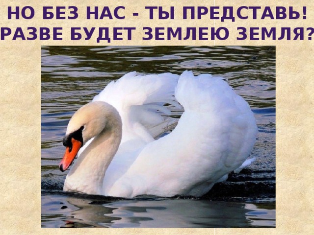 Но без нас - ты представь! Разве будет землею земля?