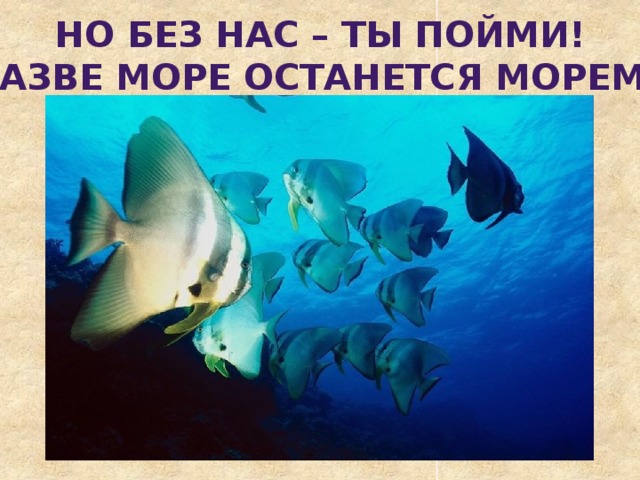 Но без нас – ты пойми! Разве море останется морем?