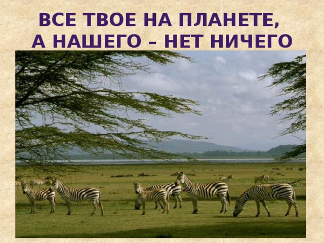 Все твое на планете, А нашего – нет ничего