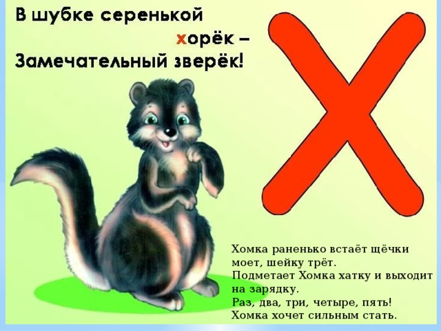 Хомка раненько встаёт щёчки моет, шейку трёт. Подметает Хомка хатку и выходит на зарядку. Раз, два, три, четыре, пять! Хомка хочет сильным стать. 