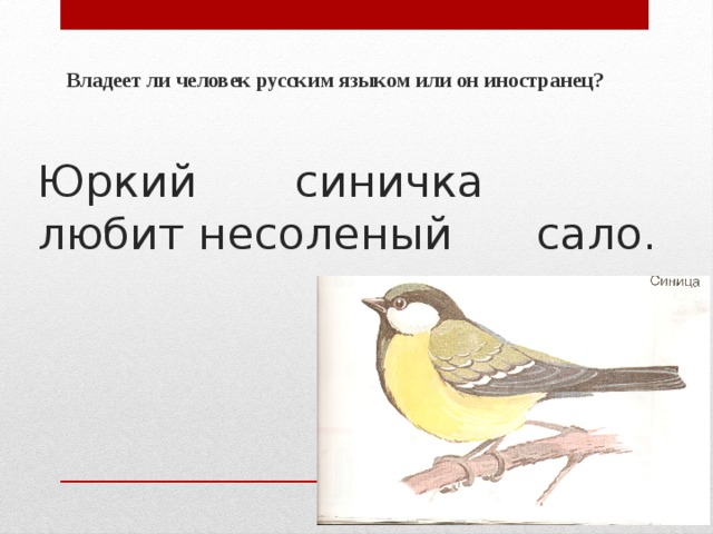 Владеет ли человек русским языком или он иностранец? Юркий синичка любит несоленый сало. 