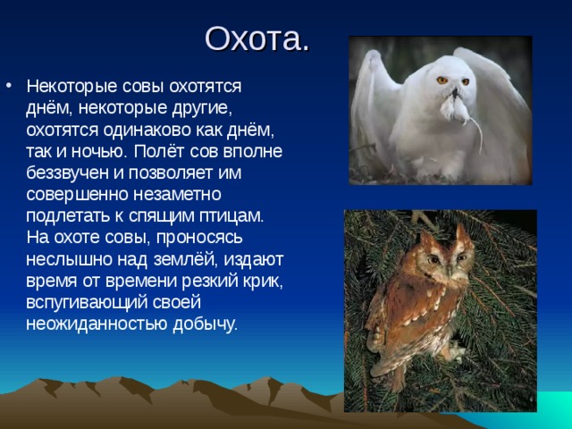 Охота. Некоторые совы охотятся днём, некоторые другие, охотятся одинаково как днём, так и ночью. Полёт сов вполне беззвучен и позволяет им совершенно незаметно подлетать к спящим птицам. На охоте совы, проносясь неслышно над землёй, издают время от времени резкий крик, вспугивающий своей неожиданностью добычу. 