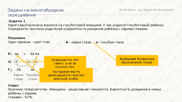 Задачи на моногибридное скрещивание ПОЛНОЕ ДОМИНИРОВАНИЕ Задача 1 Кареглазый мужчина женился на голубоглазой женщине. У них родился голубоглазый ребёнок. Определите генотипы родителей и вероятность рождения ребёнка с карими глазами. Решение Один признак – цвет глаз. а – голубые глаза А – карие глаза x аa P.:  G:  F 1 : АА Аа Выбираем буквенные обозначения генов. Указывается тип гамет, а не их количество. а а А Aa aa На первом месте записывается генотип женской особи. Голубые глаза Карие глаза Ответ Мужчина гетерозиготен. Женщина – рецессивная гомозигота. Вероятность рождения в семье ребёнка с карими глазами – 50 %. 