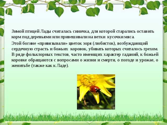 Зимой птицей Лады считалась синичка, для которой старались оставить корм под деревьями или привешивали на ветки кусочки мяса. Этой богине «привязывали» цветок зоря (любисток), возбуждающий сердечную страсть и божьих коровок, убивать которых считалось грехом. В ряде фольклорных текстов, часто имеющих характер гаданий, к божьей коровке обращаются с вопросами о жизни и смерти, о погоде и урожае, о женитьбе (также как к Ладе).