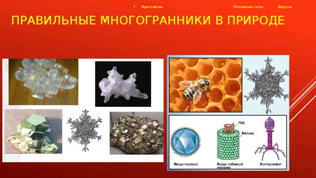 Правильные многогранники в природе  Кристаллы Пчелиные соты Вирусы 