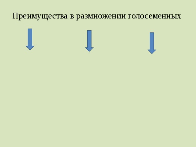 Преимущества в размножении голосеменных