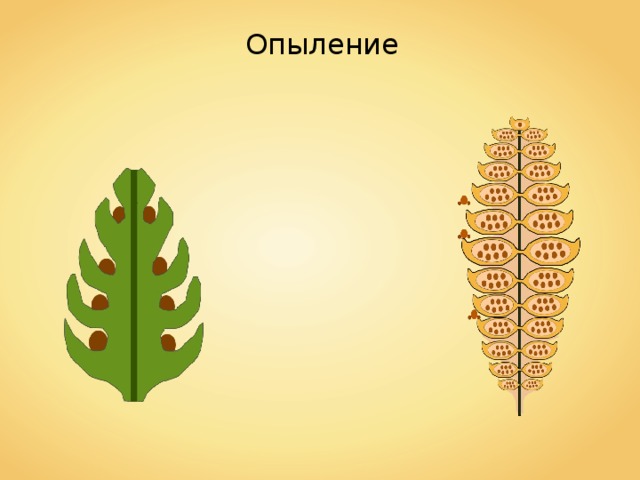 Опыление