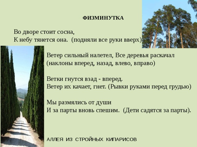 ФИЗМИНУТКА  Во дворе стоит сосна, К небу тянется она. (подняли все руки вверх)  Ветер сильный налетел, Все деревья раскачал  (наклоны вперед, назад, влево, вправо)  Ветки гнутся взад - вперед.  Ветер их качает, гнет. (Рывки руками перед грудью)  Мы размялись от души  И за парты вновь спешим. (Дети садятся за парты). АЛЛЕЯ ИЗ СТРОЙНЫХ КИПАРИСОВ