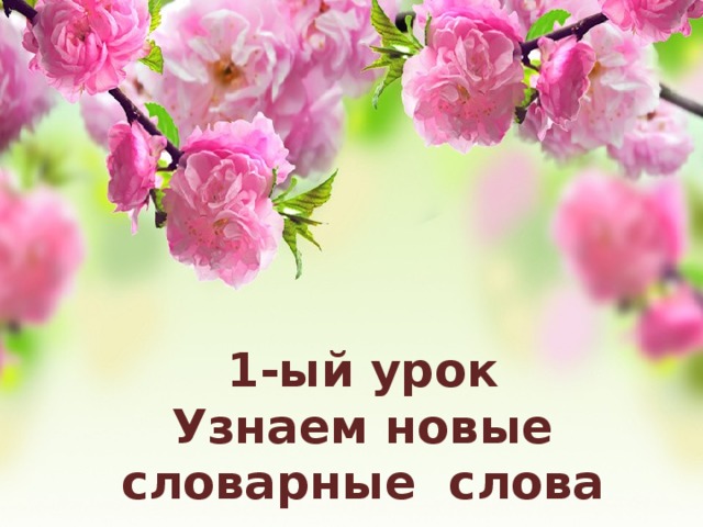 1-ый урок  1-ый урок Узнаем новые словарные слова 