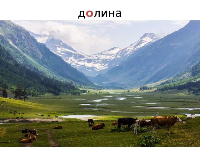 д о лина 