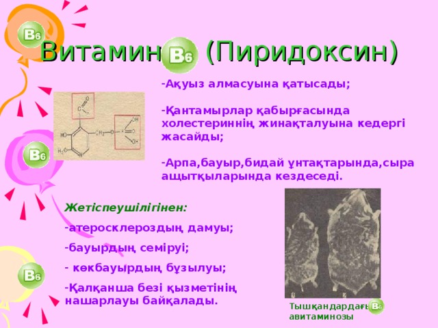 Витамин (Пиридоксин) Ақуыз алмасуына қатысады; Қантамырлар қабырғасында холестериннің жинақталуына кедергі жасайды;  Арпа,бауыр,бидай ұнтақтарында,сыра ащытқыларында кездеседі. Жетіспеушілігінен:  атеросклероздың дамуы; бауырдың семіруі;  көкбауырдың бұзылуы; Қалқанша безі қызметінің нашарлауы байқалады. Тышқандардағы авитаминозы 