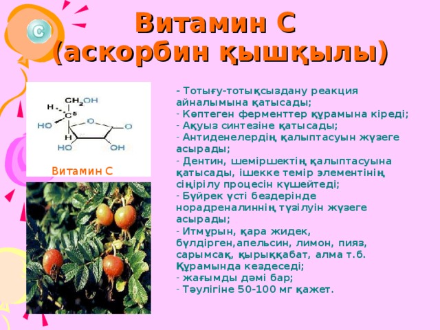 Витамин С  (аскорбин қышқылы) - Тотығу-тотықсыздану реакция айналымына қатысады;  Көптеген ферменттер құрамына кіреді;  Ақуыз синтезіне қатысады;  Антиденелердің қалыптасуын жүзеге асырады;  Дентин, шеміршектің қалыптасуына қатысады, ішекке темір элементінің сіңірілу процесін күшейтеді;  Бүйрек үсті бездерінде норадреналиннің түзілуін жүзеге асырады;  Итмұрын, қара жидек, бүлдірген,апельсин, лимон, пияз, сарымсақ, қырыққабат, алма т.б. Құрамында кездеседі;  жағымды дәмі бар;  Тәулігіне 50-100 мг қажет.  Витамин С 