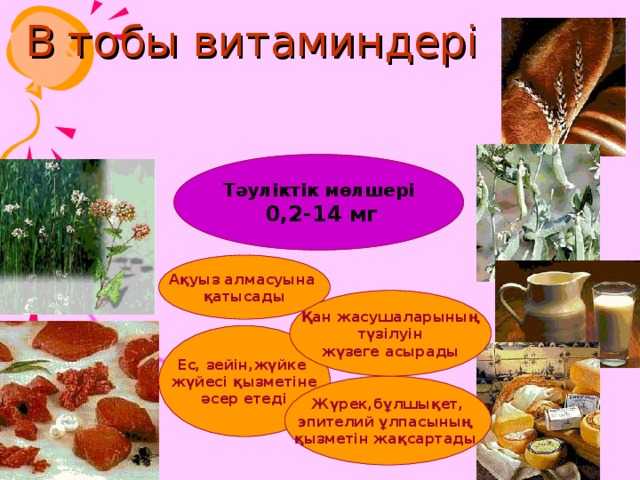 В тобы витаминдері Тәуліктік мөлшері  0,2-14 мг Ақуыз алмасуына қатысады Қан жасушаларының  түзілуін жүзеге асырады Ес, зейін,жүйке жүйесі қызметіне әсер етеді Жүрек,бұлшықет, эпителий ұлпасының қызметін жақсартады 