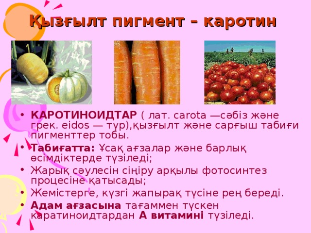 Қызғылт пигмент – каротин  КАРОТИНОИДТАР ( лат. carota —сәбіз және грек. eidos — түр),қызғылт және сарғыш табиғи пигменттер тобы. Табиғатта: Ұсақ ағзалар және барлық өсімдіктерде түзіледі; Жарық сәулесін сіңіру арқылы фотосинтез процесіне қатысады; Жемістерге, күзгі жапырақ түсіне рең береді. Адам ағзасына тағаммен түскен каратиноидтардан А витамині түзіледі. 