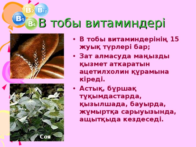   В тобы витаминдері В тобы витаминдерінің 15 жуық түрлері бар; Зат алмасуда маңызды қызмет аткаратын ацетилхолин құрамына кіреді. Астық, бұршақ тұқымдастарда, қызылшада, бауырда, жұмыртқа сарыуызында, ащытқыда кездеседі.  Соя  