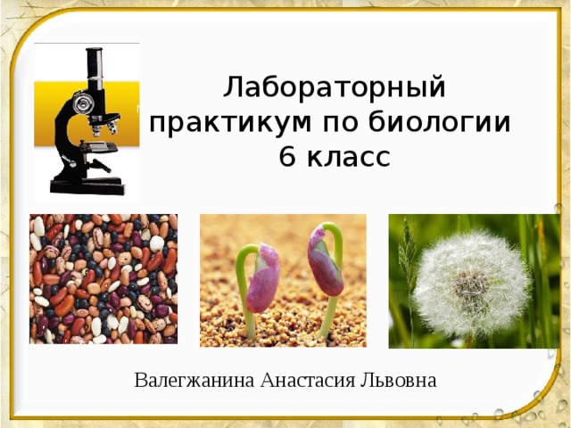 Лабораторный практикум по биологии  6 класс Валегжанина Анастасия Львовна 
