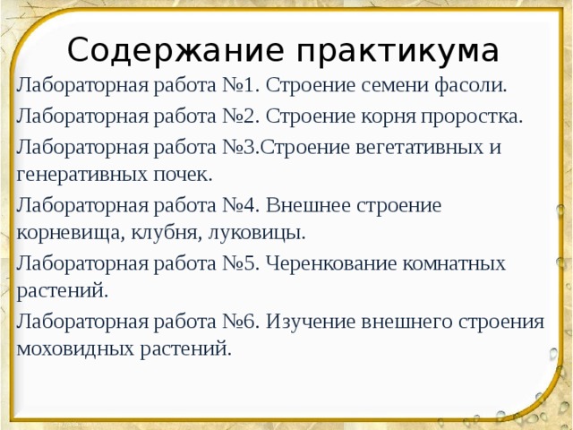 Содержание практикума Лабораторная работа №1. Строение семени фасоли. Лабораторная работа №2. Строение корня проростка. Лабораторная работа №3.Строение вегетативных и генеративных почек. Лабораторная работа №4. Внешнее строение корневища, клубня, луковицы. Лабораторная работа №5. Черенкование комнатных растений. Лабораторная работа №6. Изучение внешнего строения моховидных растений. 