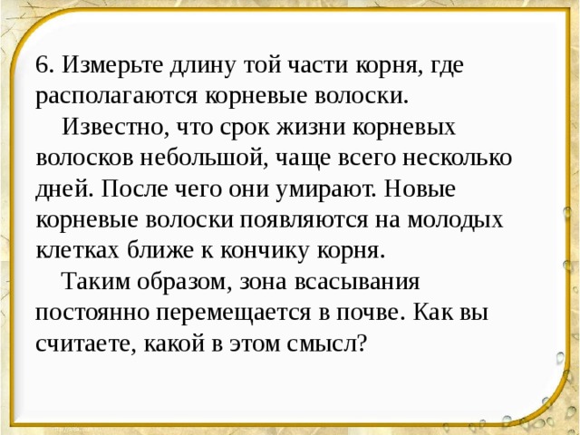 6. Измерьте длину той части корня, где располагаются корневые волоски.  Известно, что срок жизни корневых волосков небольшой, чаще всего несколько дней. После чего они умирают. Новые корневые волоски появляются на молодых клетках ближе к кончику корня.  Таким образом, зона всасывания постоянно перемещается в почве. Как вы считаете, какой в этом смысл? 