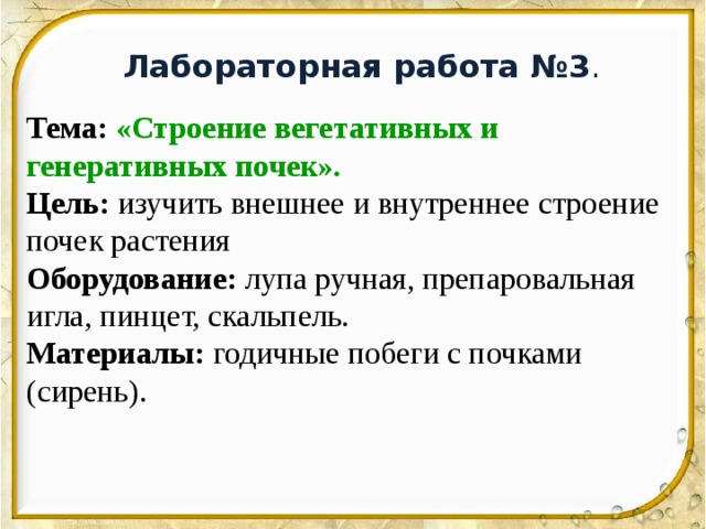 Лабораторная работа №3 . Тема:  «Строение вегетативных и генеративных почек». Цель: изучить внешнее и внутреннее строение почек растения Оборудование: лупа ручная, препаровальная игла, пинцет, скальпель. Материалы: годичные побеги с почками (сирень). 