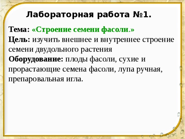 Лабораторная работа №1. Тема:  «Строение семени фасоли . » Цель: изучить внешнее и внутреннее строение семени двудольного растения Оборудование: плоды фасоли, сухие и прорастающие семена фасоли, лупа ручная, препаровальная игла. 