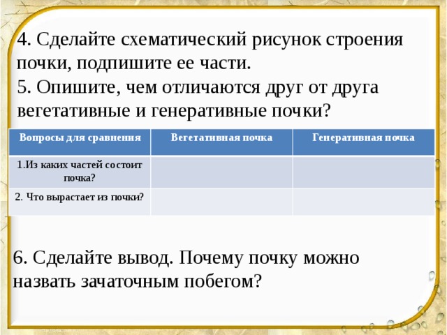 4. Сделайте схематический рисунок строения почки, подпишите ее части. 5. Опишите, чем отличаются друг от друга вегетативные и генеративные почки? Вопросы для сравнения Вегетативная почка 1.Из каких частей состоит почка? Генеративная почка 2. Что вырастает из почки? 6. Сделайте вывод. Почему почку можно назвать зачаточным побегом? 