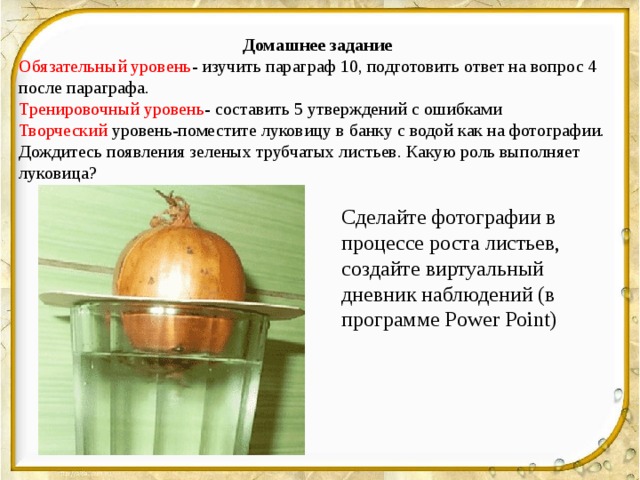 Домашнее заданиe Обязательный уровень - изучить параграф 10, подготовить ответ на вопрос 4 после параграфа. Тренировочный уровень - составить 5 утверждений с ошибками Творческий уровень-поместите луковицу в банку с водой как на фотографии. Дождитесь появления зеленых трубчатых листьев. Какую роль выполняет луковица? Сделайте фотографии в процессе роста листьев, создайте виртуальный дневник наблюдений (в программе Power Point) 