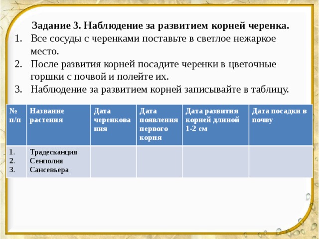 Задание 3. Наблюдение за развитием корней черенка. Все сосуды с черенками поставьте в светлое нежаркое место. После развития корней посадите черенки в цветочные горшки с почвой и полейте их. Наблюдение за развитием корней записывайте в таблицу. № 1. п/п Название растения Дата Традесканция 2. 3. Дата появления первого корня черенкования Сенполия Дата развития корней длиной Сансевьера Дата посадки в почву 1-2 см 