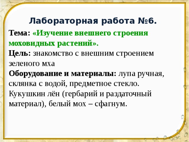 Лабораторная работа №6. Тема:  «Изучение внешнего строения моховидных растений». Цель: знакомство с внешним строением зеленого мха Оборудование и материалы: лупа ручная, склянка с водой, предметное стекло. Кукушкин лён (гербарий и раздаточный материал), белый мох – сфагнум. 