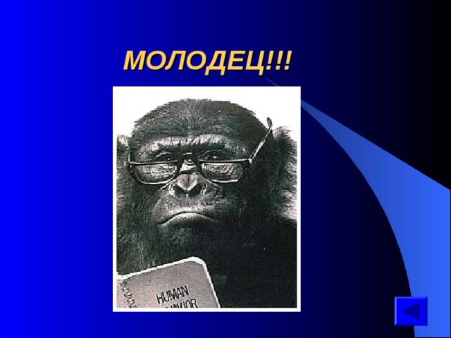  МОЛОДЕЦ!!! 