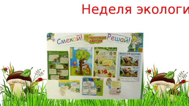 Неделя экологии 