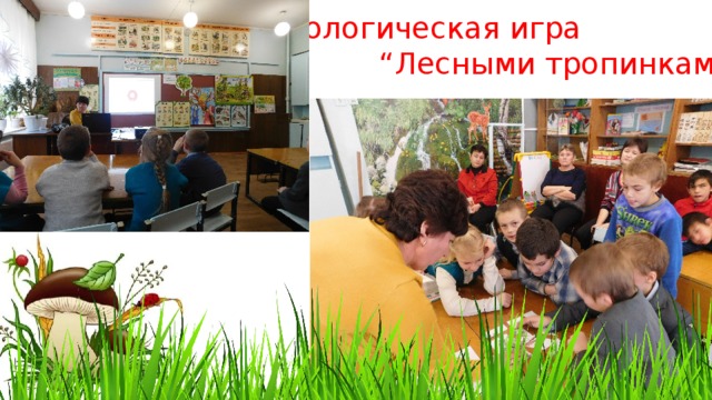 Экологическая игра “ Лесными тропинками” 