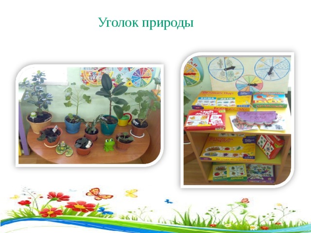  Уголок природы 