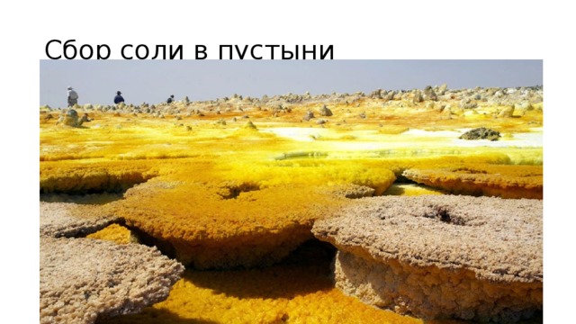 Сбор соли в пустыни 