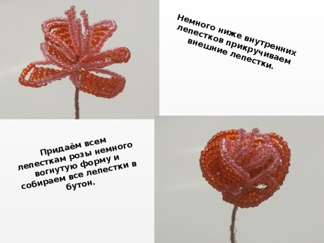 Немного ниже внутренних лепестков прикручиваем внешние лепестки. Придаём всем лепесткам розы немного вогнутую форму и собираем все лепестки в бутон. 