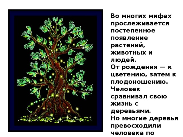 Во многих мифах прослеживается постепенное появление растений, животных и людей. От рождения — к цветению, затем к плодоношению. Человек сравнивал свою жизнь с деревьями. Но многие деревья превосходили человека по продолжительности жизни. 