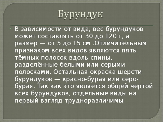В зависимости от вида, вес бурундуков может составлять от 30 до 120 г, а размер — от 5 до 15 см .Отличительным признаком всех видов являются пять тёмных полосок вдоль спины, разделённые белыми или серыми полосками. Остальная окраска шерсти бурундуков — красно-бурая или серо-бурая. Так как это является общей чертой всех бурундуков, отдельные виды на первый взгляд трудноразличимы 