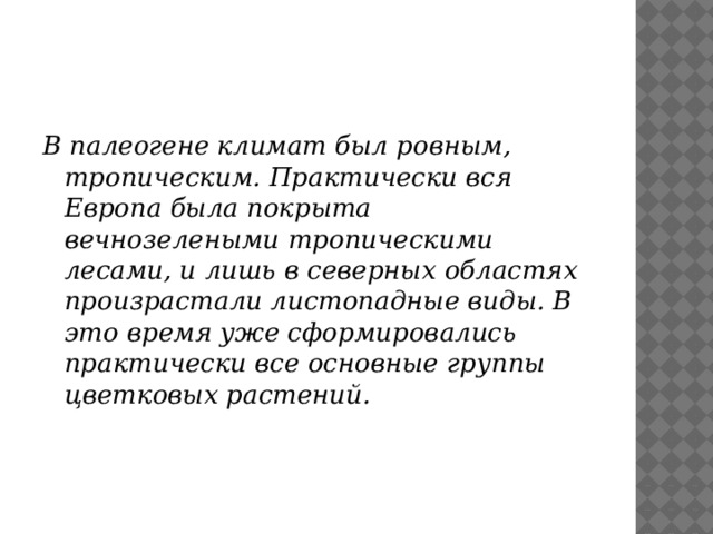 В палеогене климат был ровным, тропическим. Практически вся Европа была покрыта вечнозелеными тропическими лесами, и лишь в северных областях произрастали листопадные виды. В это время уже сформировались практически все основные группы цветковых растений. 