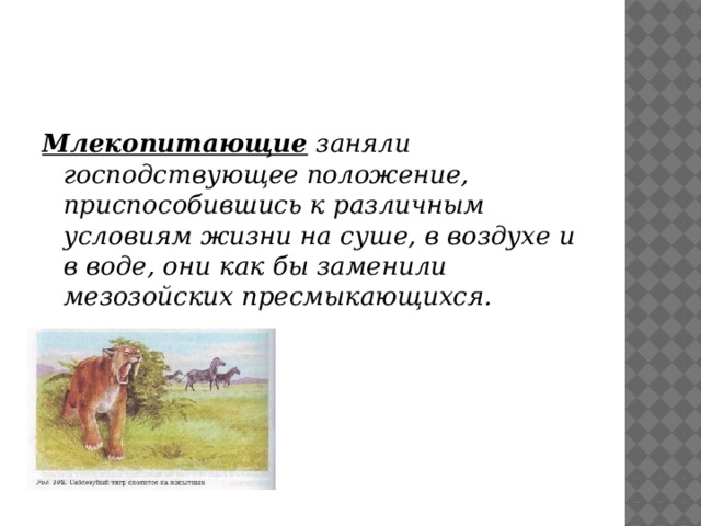 Млекопитающие заняли господствующее положение, приспособившись к различным условиям жизни на суше, в воздухе и в воде, они как бы заменили мезозойских пресмыкающихся. 