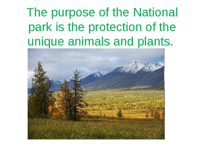 The purpose of the National park is the protection of the unique animals and plants. 